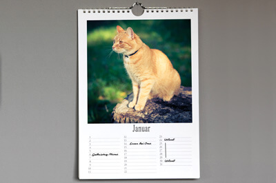 Ein Kalender aufgeschlagen im Januar auf dem eine rot-orangene Katze abgebildet ist